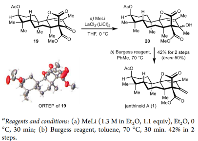 北大杨震/张仲超团队JACS: 杂萜天然产物Janthinoid A的首次不对称全合成